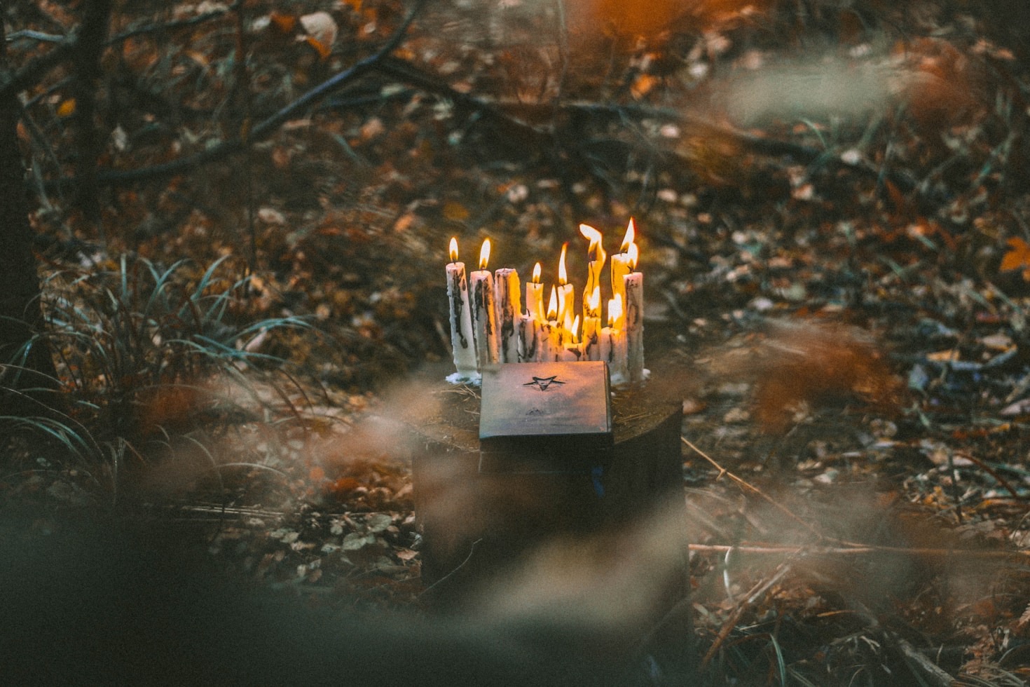 Exploring Witchcraft Themes in Modern Literature